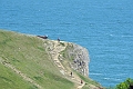 26 05 12_1292_edited-1